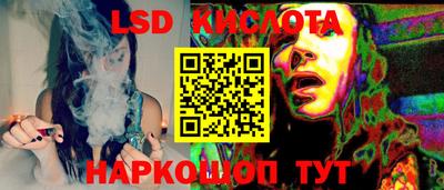прущие крисы Новозыбков