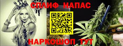 прущие крисы Новозыбков