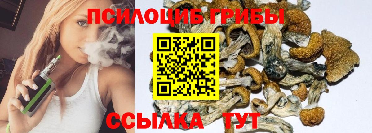 Псилоцибиновые грибы мухоморы Татарск