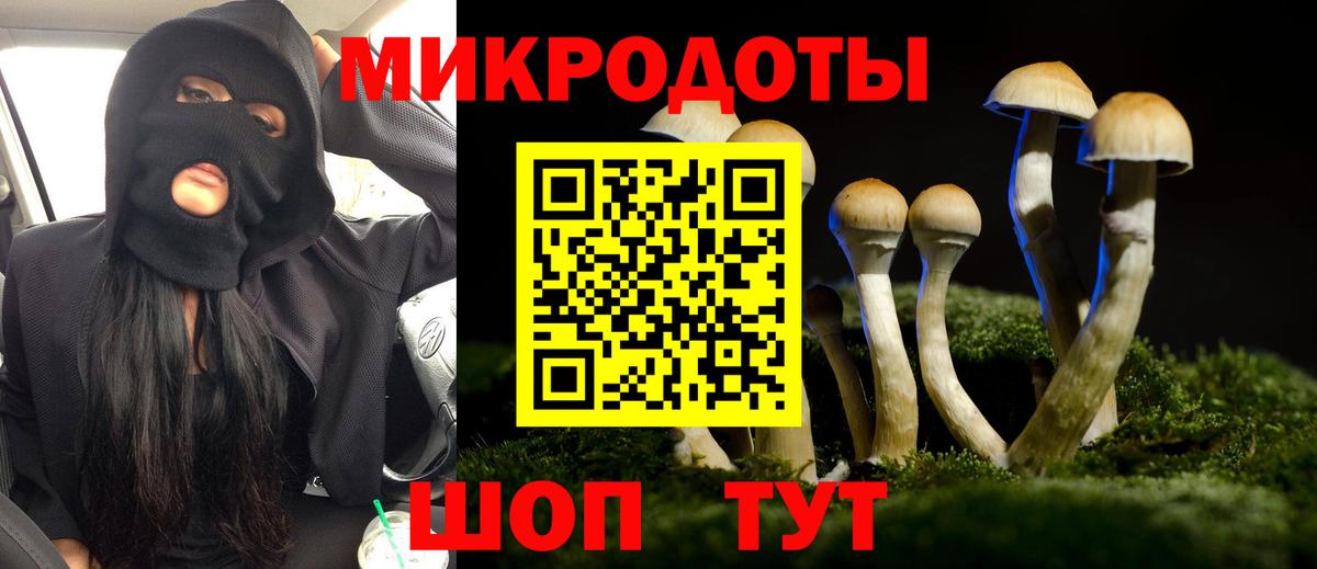 Псилоцибиновые грибы прущие грибы  Вход с VPN  закладка  Татарск 